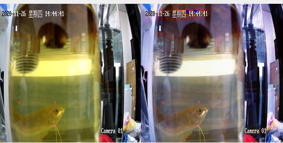 （转）林蠡：智慧渔业与绿色水产养殖