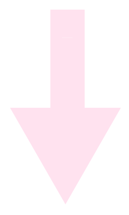 跑山鸡养殖方案设计_跑山鸡养殖技术有哪些_养殖跑山鸡技术有哪些