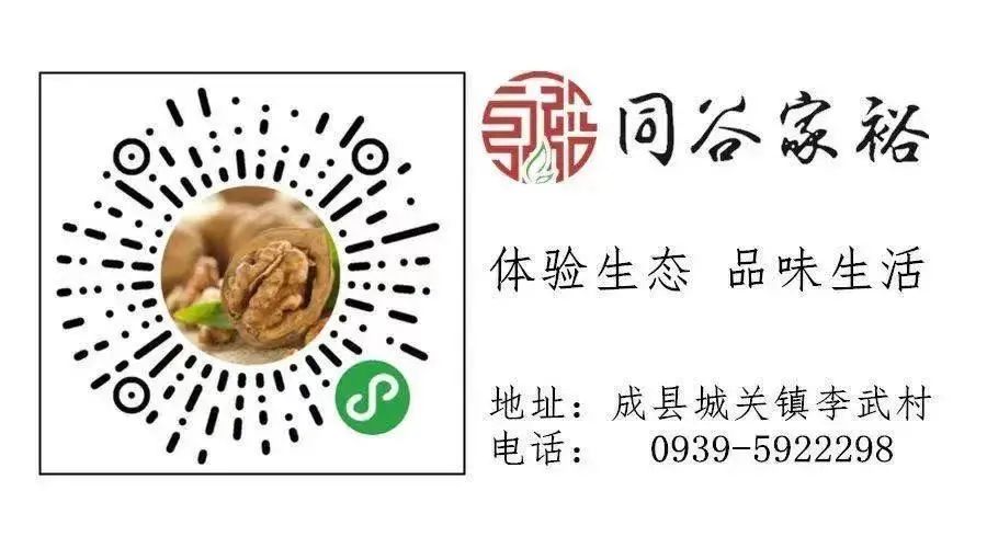 跑山鸡养殖技术有哪些_跑山鸡养殖方案设计_养殖跑山鸡技术有哪些