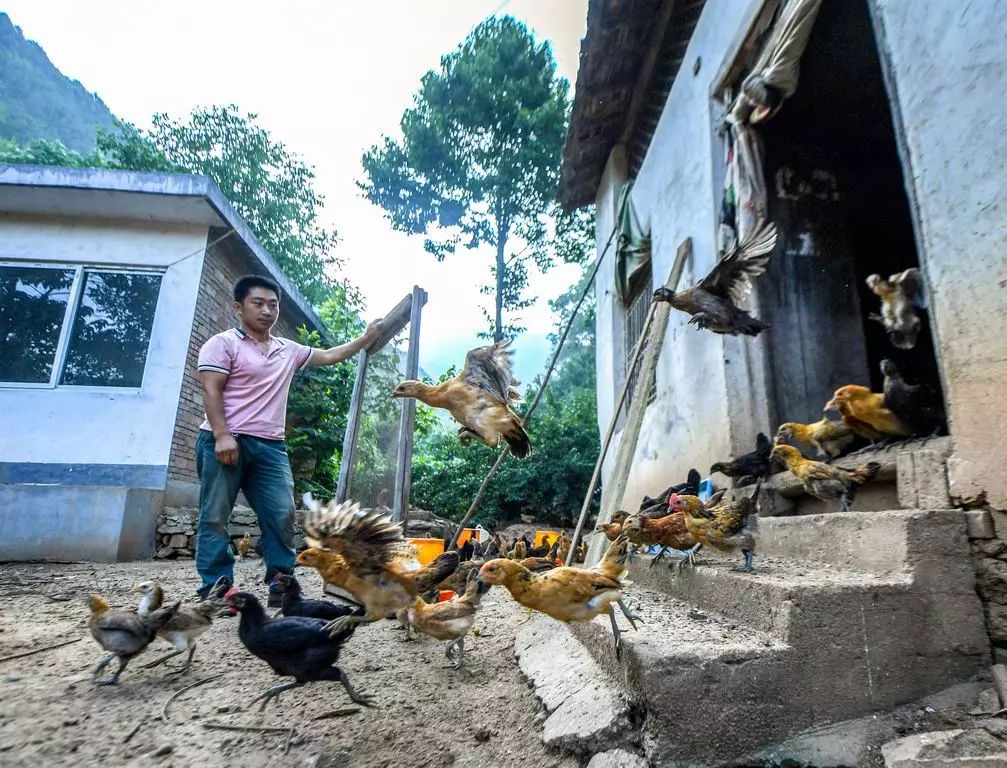 榜样视频致富养殖大师_养殖致富榜样视频_养殖致富能手先进事迹