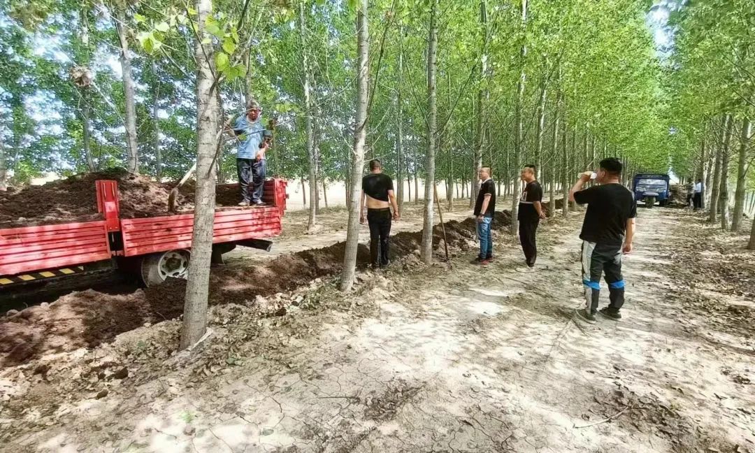 蚯蚓养殖致富_致富养殖蚯蚓视频_养殖蚯蚓赚钱吗