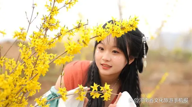 致富案例种植连翘视频_连翘种植致富案例_连翘种植真实收入