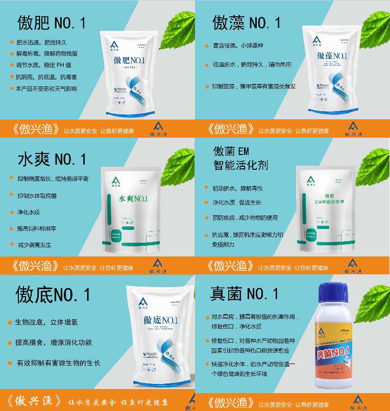 七星养殖鲈鱼技术要求_七星养殖鲈鱼技术与管理_七星鲈鱼养殖技术