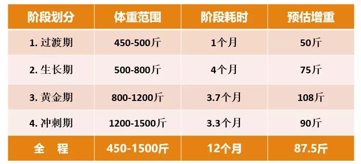 肉羊养殖技术指导方案_养殖方案指导肉羊技术有哪些_养殖方案指导肉羊技术要点