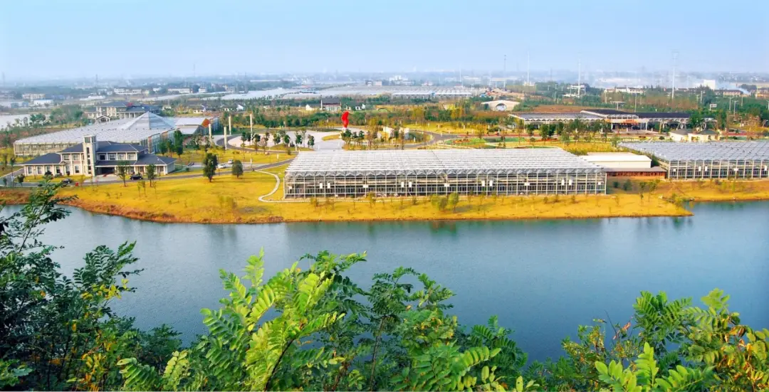 养殖致富经_种植养殖致富案例_种植养殖致富的案例