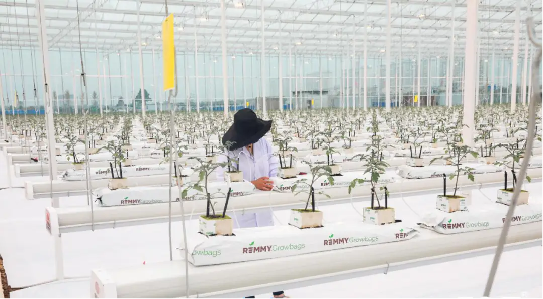 种植养殖致富案例_养殖致富经_种植养殖致富的案例