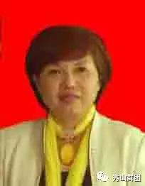 致富经女主持_致富靠老杨_致富经杨娅飞