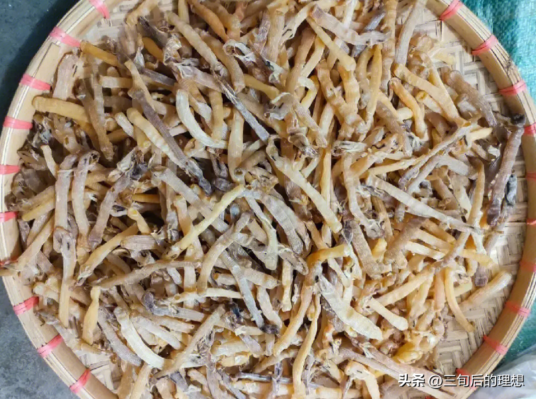 沙蚕养殖前景如何_养殖沙蚕一般需要多少投资_室内沙蚕简易养殖技术