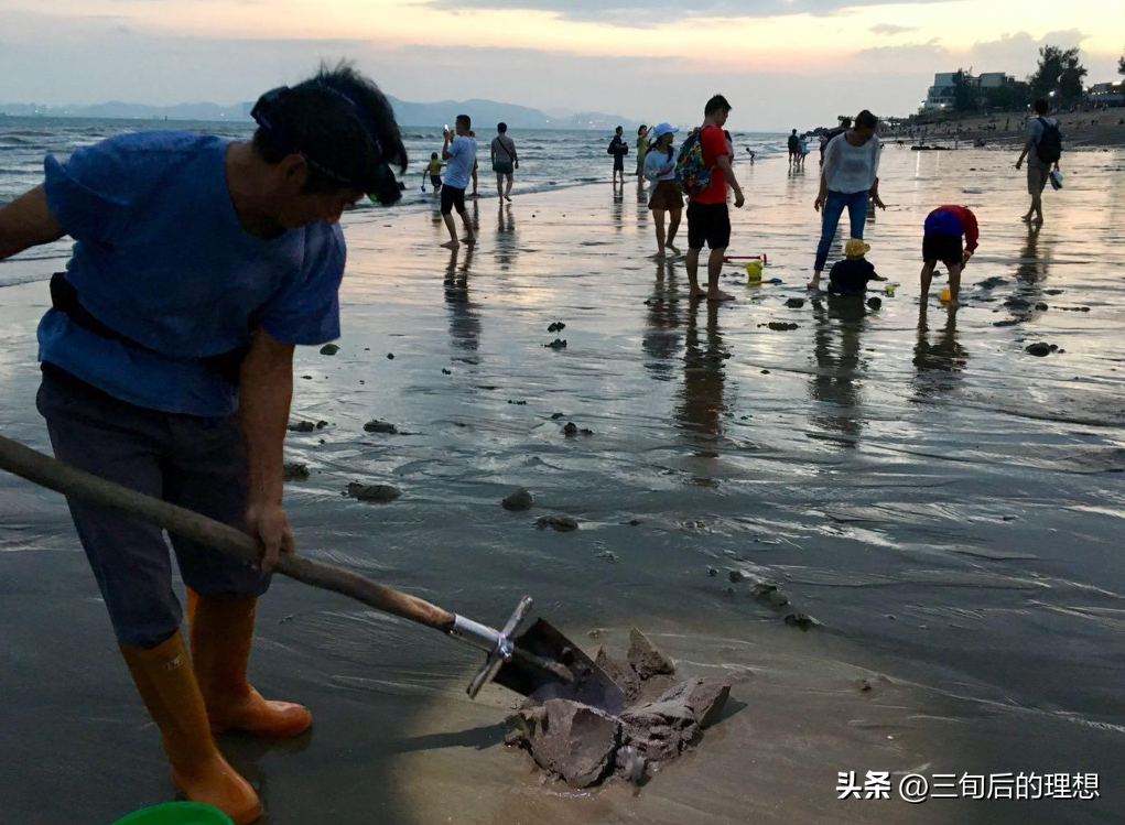 室内沙蚕简易养殖技术_沙蚕养殖前景如何_养殖沙蚕一般需要多少投资