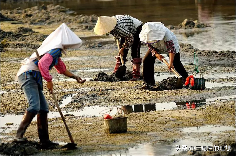 沙蚕养殖前景如何_室内沙蚕简易养殖技术_养殖沙蚕一般需要多少投资