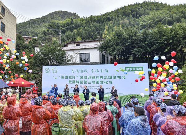 致富经卖茶叶_靠茶叶致富_卖茶叶赚钱