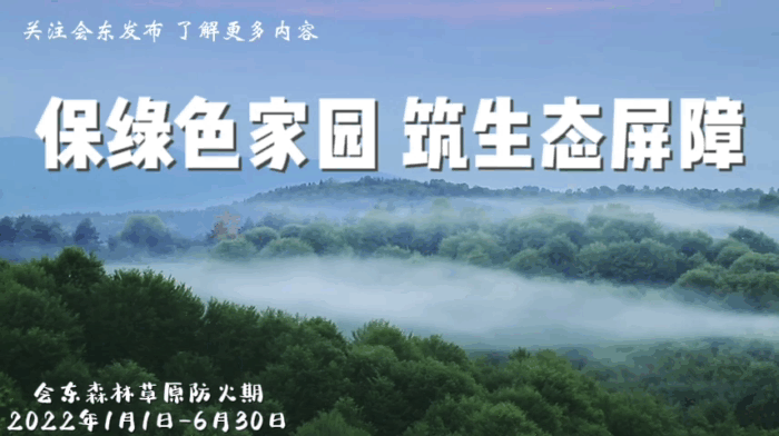 会东堵格村：蔬菜种植为乡村振兴赋能加速