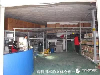 台湾新型甜象草_台湾甜象草种植技术_台湾甜象草草种植方法