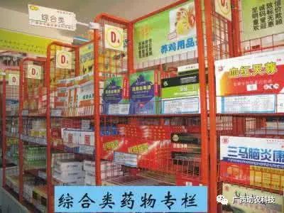 台湾甜象草草种植方法_台湾甜象草种植技术_台湾新型甜象草