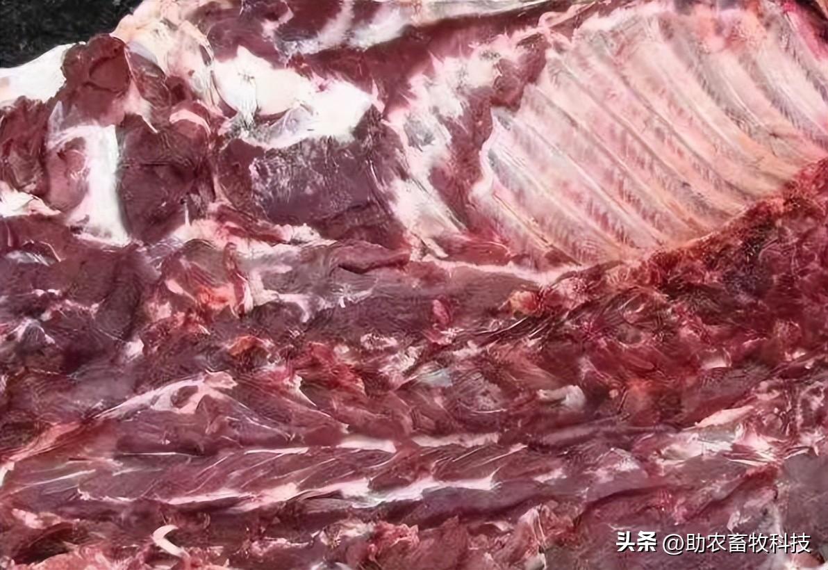 菌益农科技有限公司_菌益稼有限公司_益生菌养殖致富项目