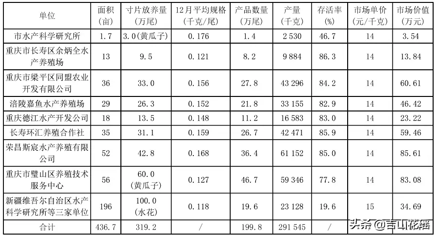 鲫鱼养殖高手_鲫鱼中华3号养殖技术_鲫鱼养殖技术视频教程