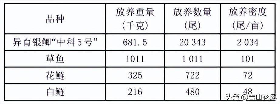 鲫鱼养殖技术视频教程_鲫鱼中华3号养殖技术_鲫鱼养殖成功案例
