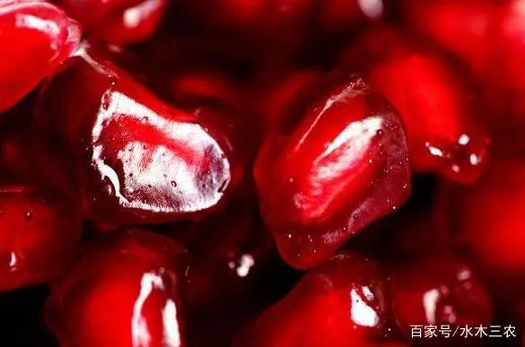 农村种植致富的好处是什么_致富种植什么比较赚大钱_致富经农村种植
