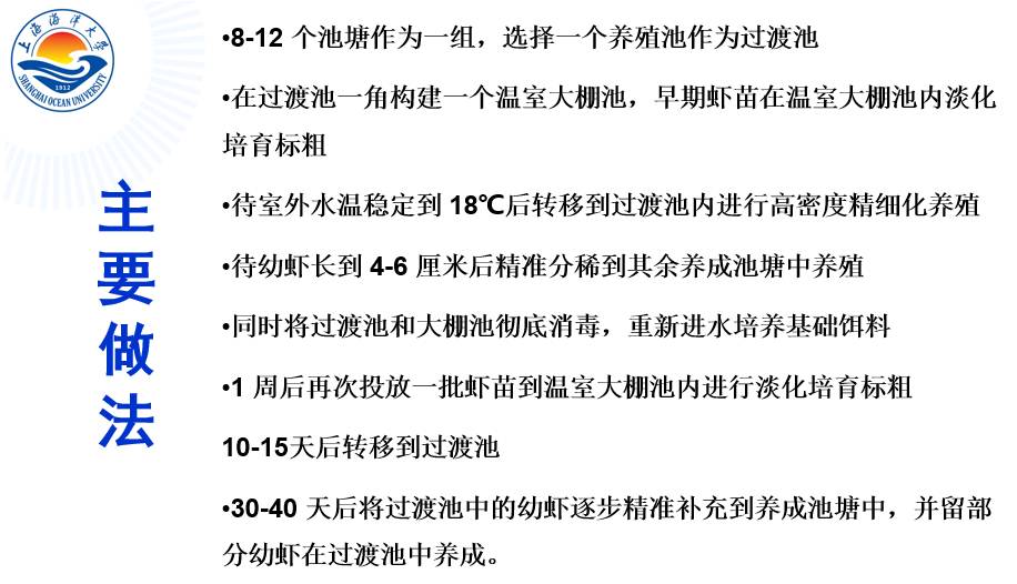 中国名对虾养殖技术_对虾养殖的前景_养殖对虾技术大全