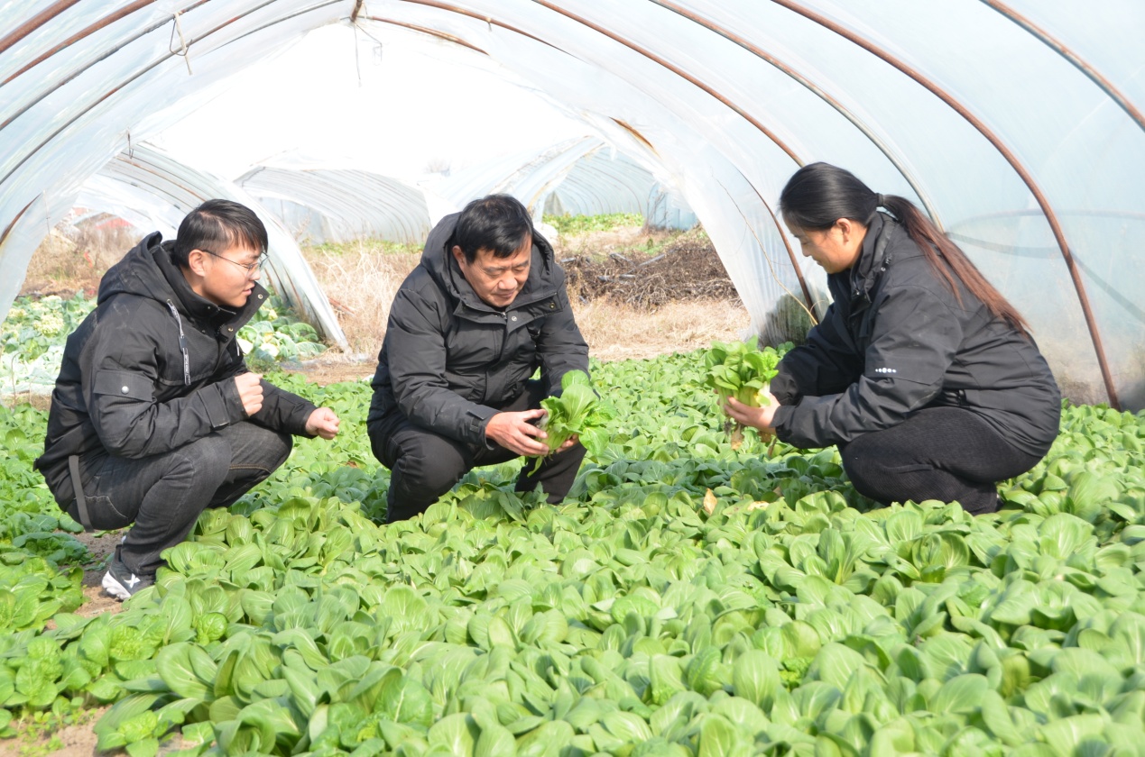 利辛县中疃镇：身残志坚闯新路 特色种植助增收