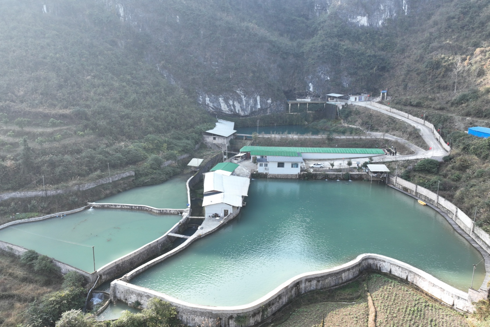 贵州岑巩：水产养殖实现产量产值双提升