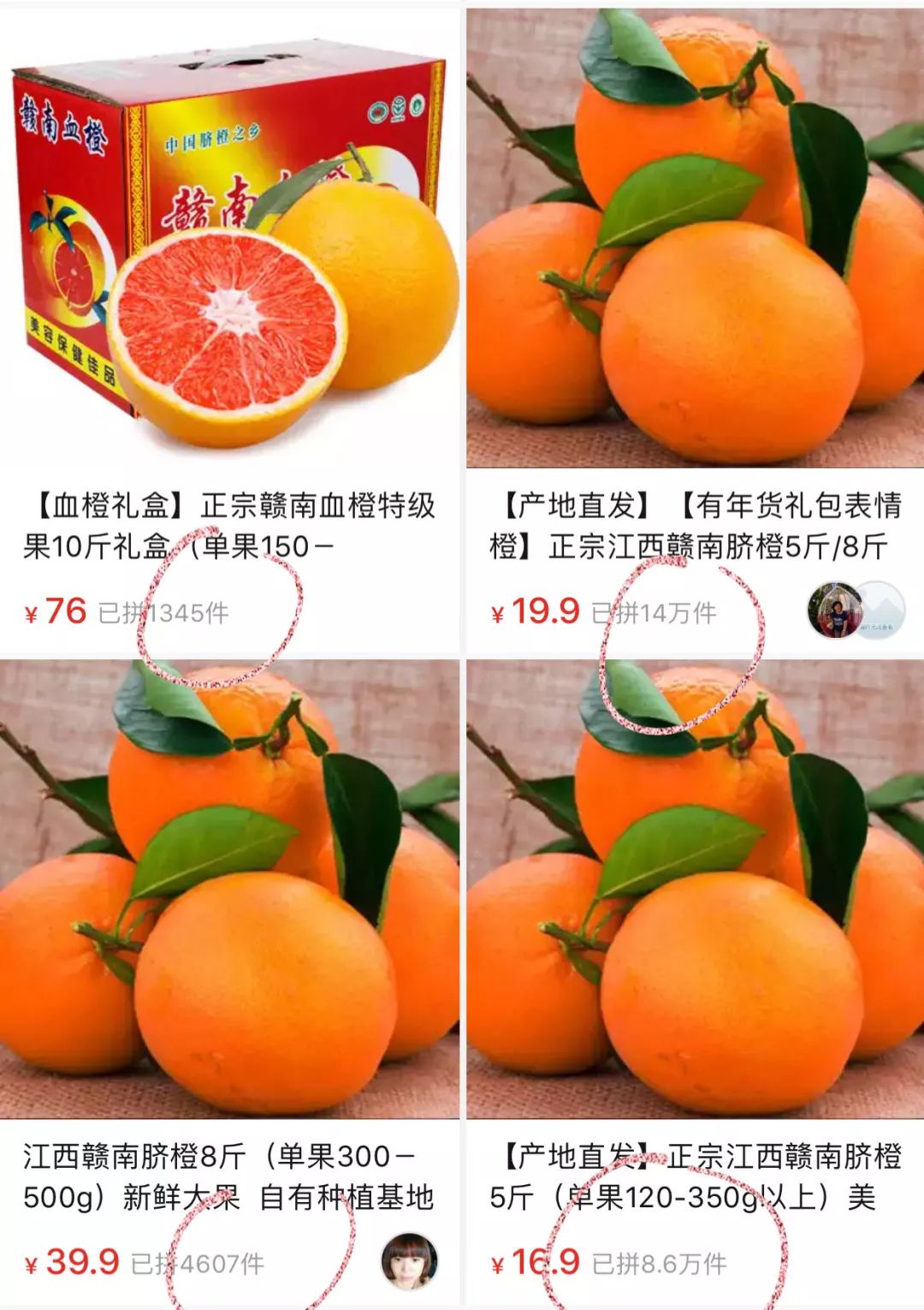 致富经种赣南脐橙_正宗的赣南脐橙苗哪里能买到_种赣南脐橙有前景吗
