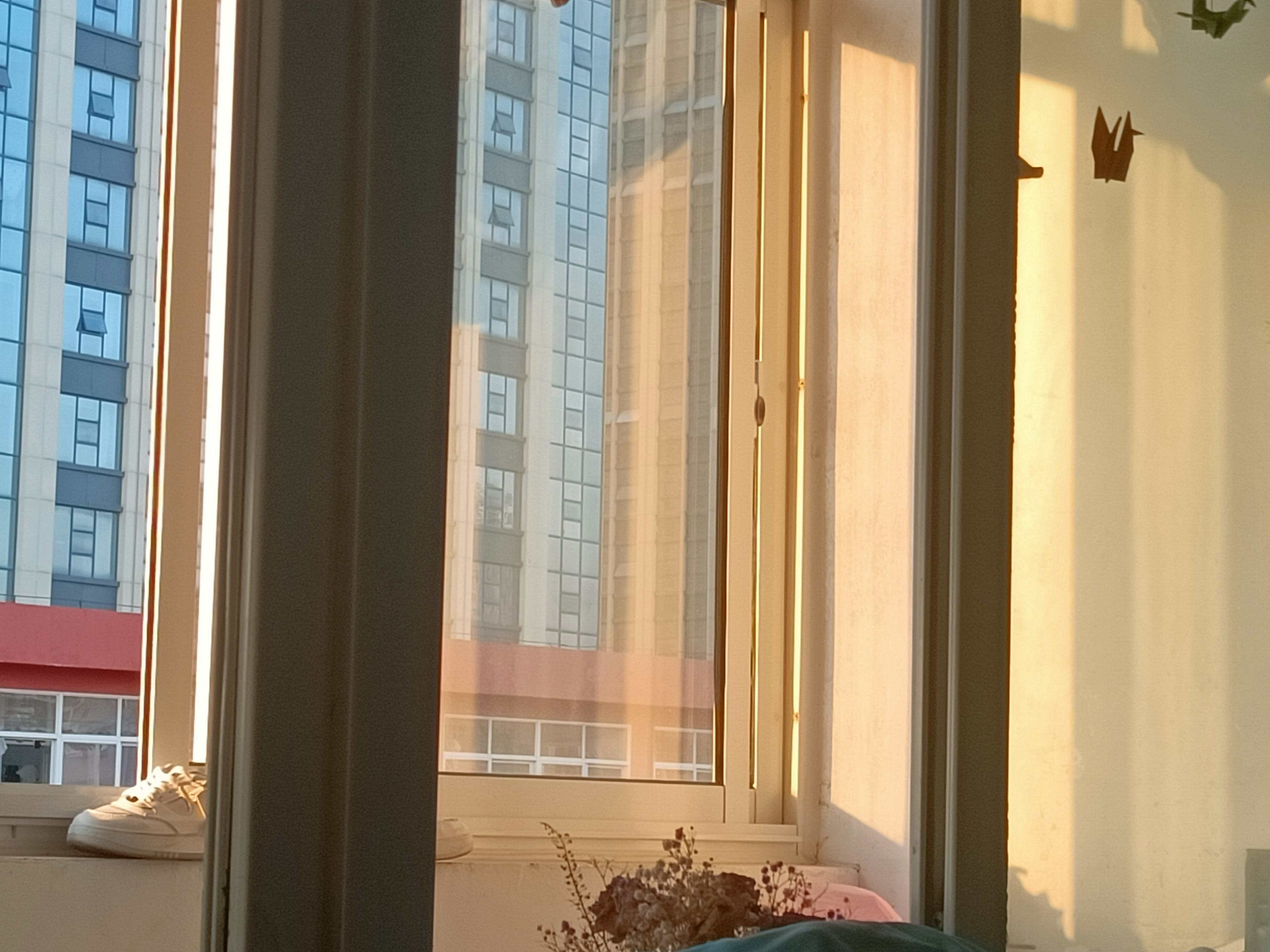 种植菜技术散花图片_散花菜种植技术_种植菜技术散花视频