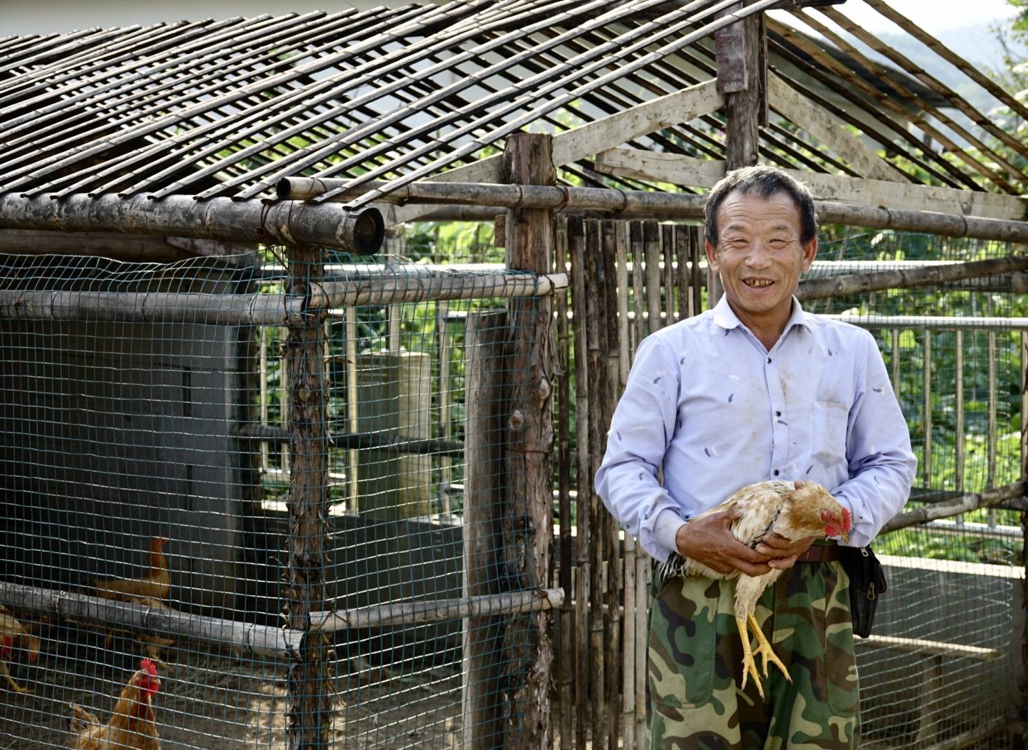 农业致富视频_孝感农业致富种植各种水果网_池州现代农业致富经