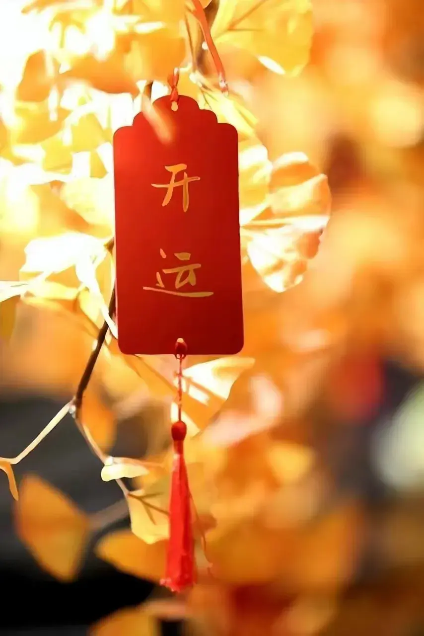 致富经养殖狗视频大全_视频致富养狗是真的吗_致富经养狗视频