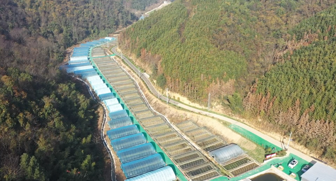 养殖鲈鱼的前景如何_致富经鲈鱼养殖技术_致富养殖鲈鱼技术视频