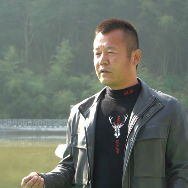 致富养殖鲈鱼技术视频_养殖鲈鱼的前景如何_致富经鲈鱼养殖技术