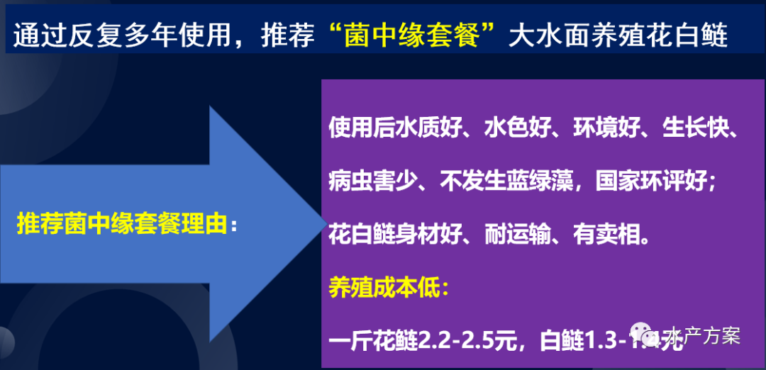 水库花鲢养殖技术_水库花鲢养殖成本及利润_水库养花鲢技术视频大全