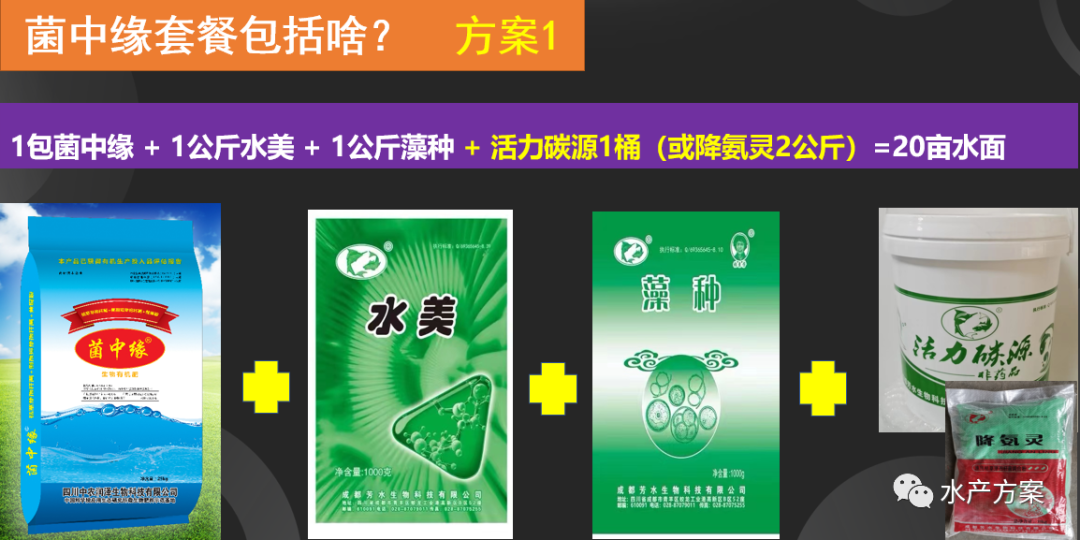 水库花鲢养殖成本及利润_水库花鲢养殖技术_水库养花鲢技术视频大全
