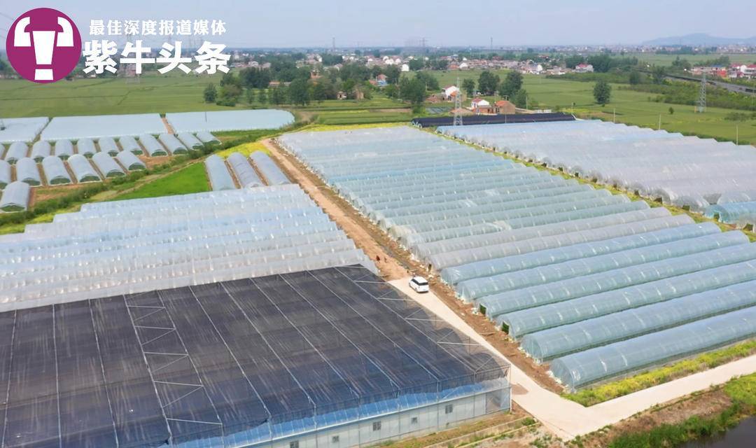 靠养殖如何致富_致富养殖项目_养殖致富之路