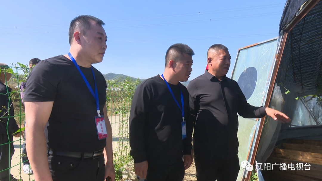 致富养殖林蛙赚钱吗_养殖林蛙赚钱吗_养殖林蛙致富经