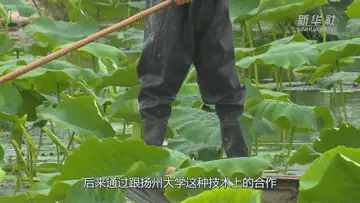 宿迁养殖基地_江苏宿迁养殖场骗局_宿迁养殖致富门路