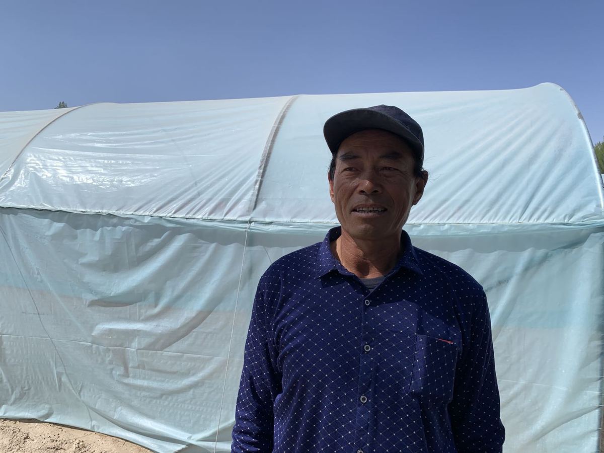 甘肃种植基地_甘肃种植致富信息_甘肃脱贫致富