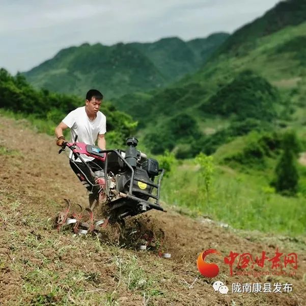 致富经栏目 芽苗菜_致富经芽苗菜种植业_cctv7致富栏目