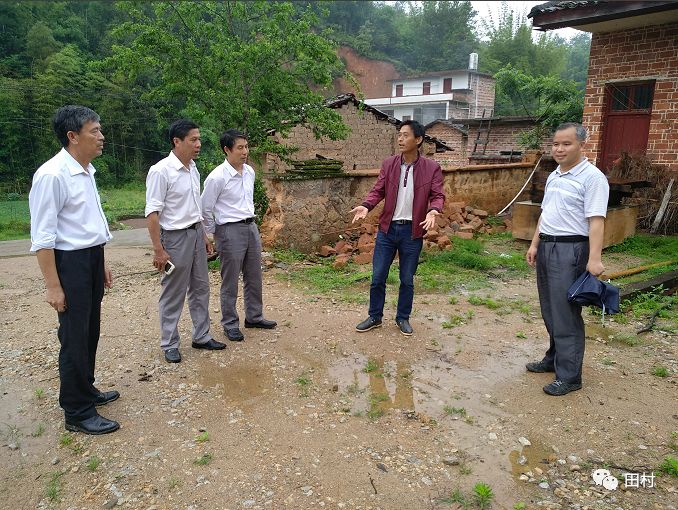 茯苓种植基地_福建种植茯苓致富_茯苓种植效益