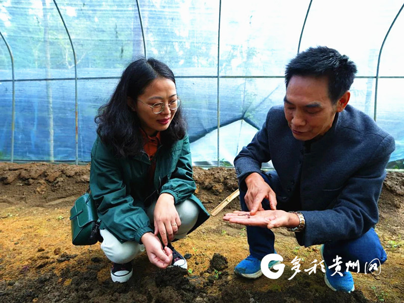 洗马镇团结村：蚯蚓养殖，“蚓”出致富新路子