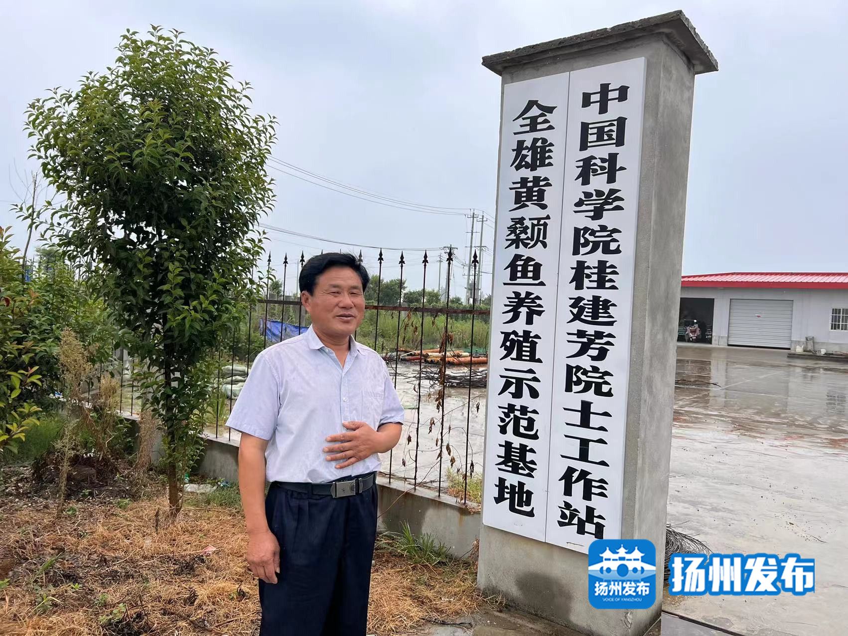 江都樊川：鱼塘边建院士工作站，黄颡鱼成“致富鱼”