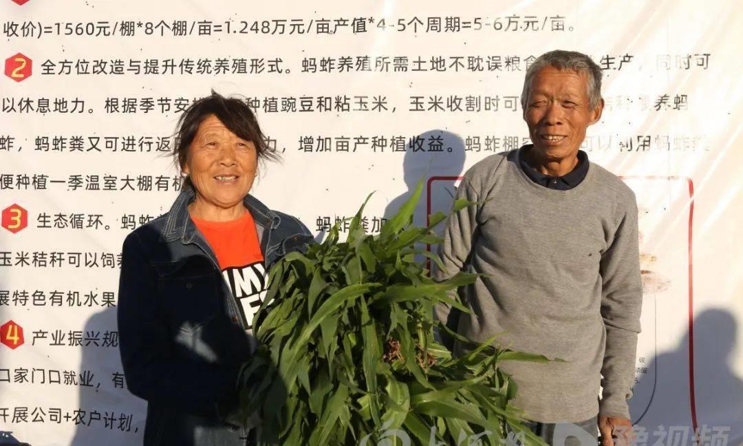 昆虫养殖前景_昆虫养殖赚钱吗_昆虫养殖致富经视频
