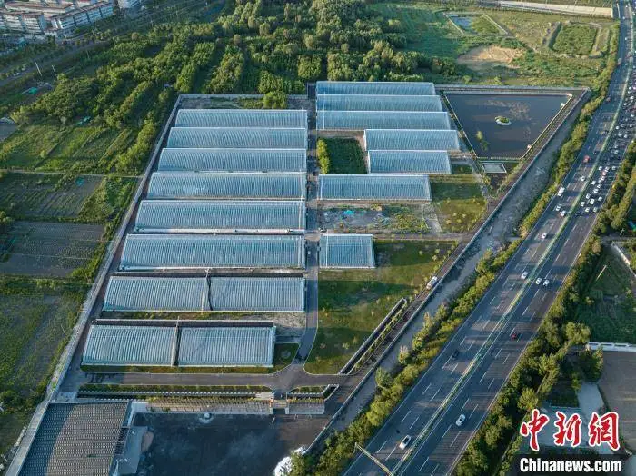 北方养殖大棚建造视频_北方大棚养殖技术_养殖北方大棚技术规程