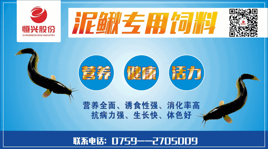 河蟹养殖技术的网站_养殖河蟹视频_2021年养殖河蟹前景