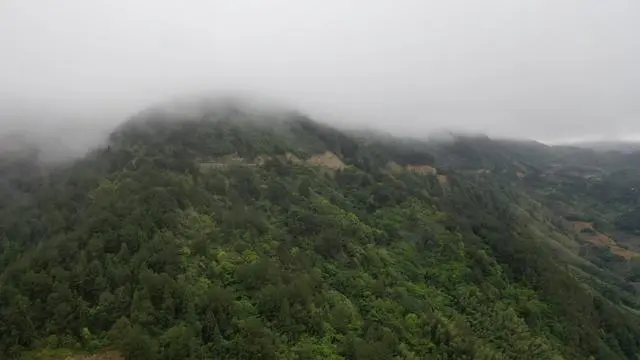 银耳种植创业致富_种植银耳的市场前景_种植银耳的利润是多少