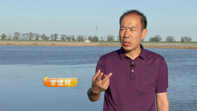 养磅蟹致富经_致富经室内养殖螃蟹_致富经养大闸蟹