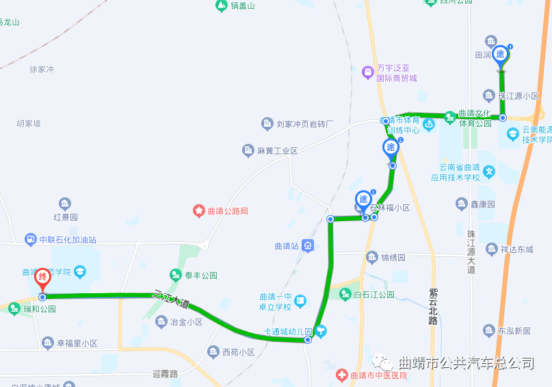 今年云南种植茯苓有多少_云南茯苓种植技术视频_云南茯苓基地