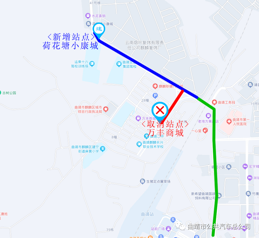 云南茯苓种植技术视频_今年云南种植茯苓有多少_云南茯苓基地
