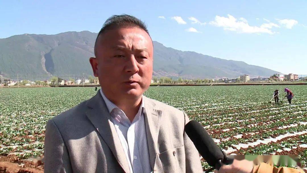 致富种植茭白图片_致富种植茭白怎么样_致富茭白种植