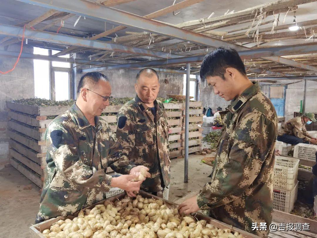 养殖蝉蛹的条件_养殖蝉蛹赚钱吗_蝉蛹养殖致富